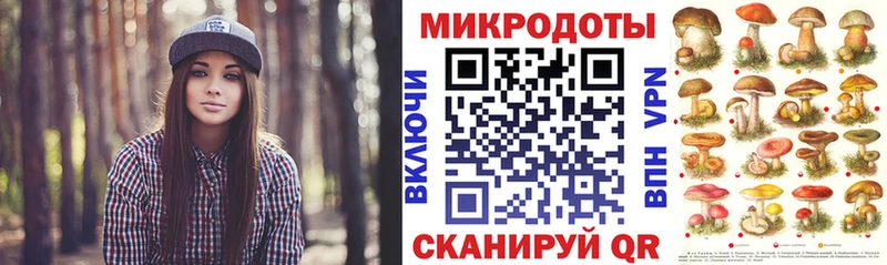blacksprut зеркало  Волгодонск  Галлюциногенные грибы Cubensis 