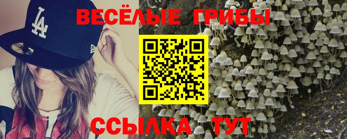 цены наркотик  Галлюциногенные грибы GOLDEN TEACHER  Волгодонск  Вход с VPN  Псилоцибиновые грибы Psilocybine cubensis 